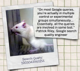 how-google-works1
