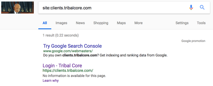 noindex in search results
